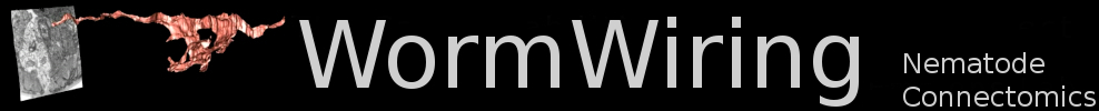 WormWiring Header